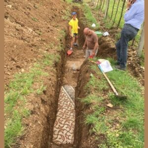 Stunning Mosaic Floor Unearthed in Italy Stunning Mosaic Floor Unearthed in Italy