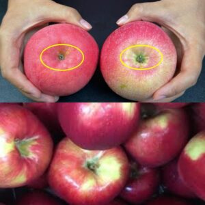 Tips for Selecting the Best Apples! One Second to Identify Crispy and Sweet Varieties Tips for Selecting the Best Apples! One Second to Identify Crispy and Sweet Varieties