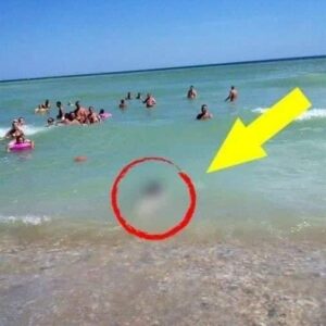 Tourists couldn’t believe their eyes! Tourists couldn’t believe their eyes!