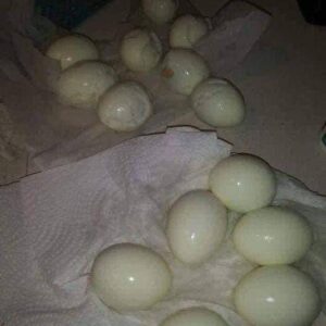 Chef’s Clever Hack for Perfectly Peeled Eggs Chef’s Clever Hack for Perfectly Peeled Eggs