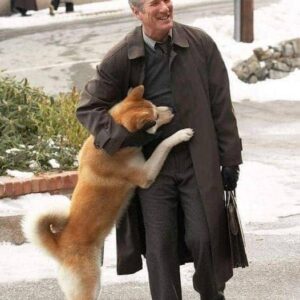 Rare Photos Of Hachiko Patiently Waiting For His Owner Have Surfaced And It’s Heartbreaking To See Rare Photos Of Hachiko Patiently Waiting For His Owner Have Surfaced And It’s Heartbreaking To See