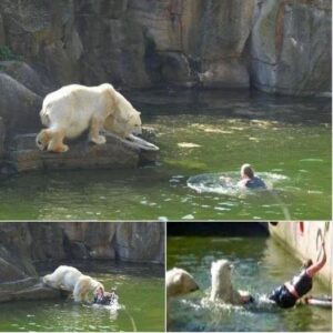 A 32-year-old woman was attacked by a polar bear after she jumped into their enclosure at the Berlin Zoo. A 32-year-old woman was attacked by a polar bear after she jumped into their enclosure at the Berlin Zoo.